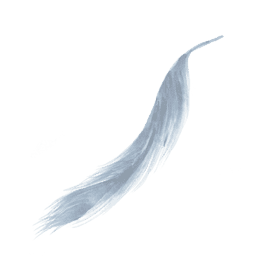feather